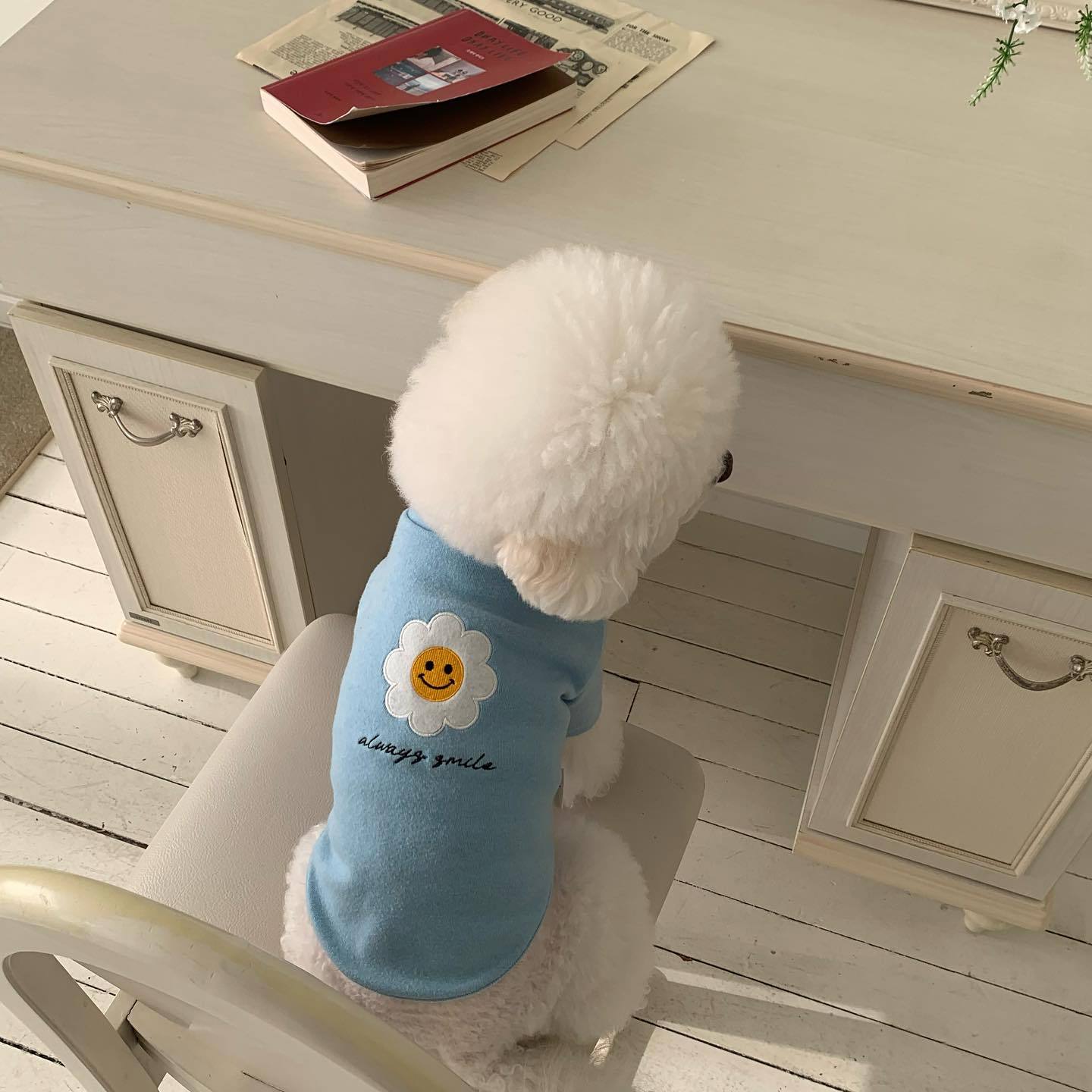 

Осенне-зимняя футболка с высоким воротом, футболка для собак, плюшевый медведь, толстовка с капюшоном для маленьких собак, одежда для домашних животных с цветком, одежда для собак, одежда для маленьких собак, щенков XL