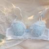 Girls Simple Bras Design Backless Women Push Up Bras Lace Lingerie For Lady