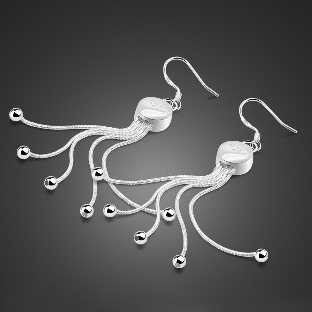 

Темпераментные серьги-кисточки Женские корейские простые круглые серьги