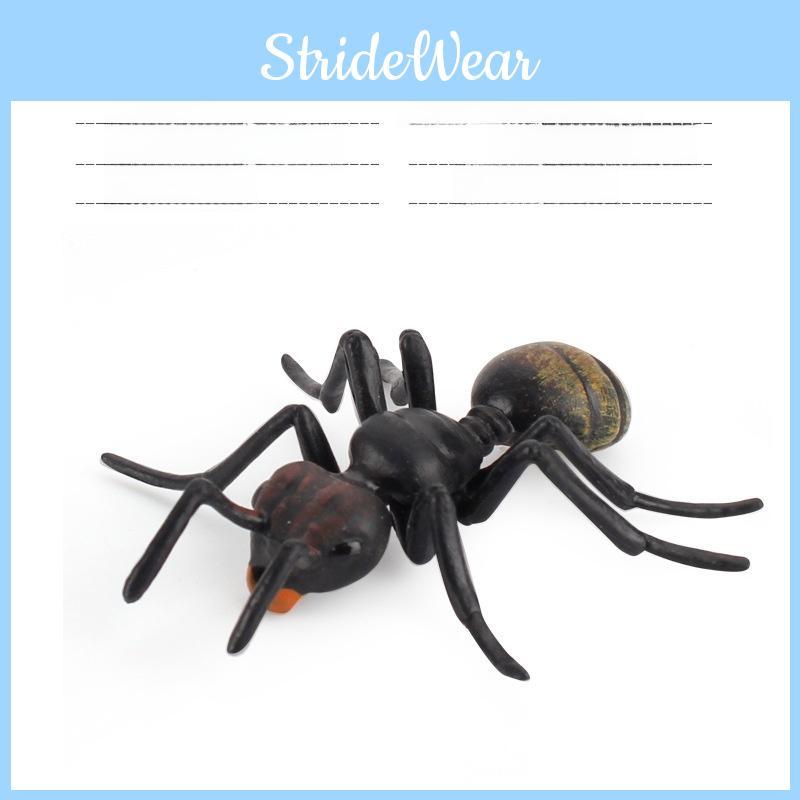 Insect Scientific Model Kit With Wasps Ants Crickets For Kids Learning And Nature Exploration