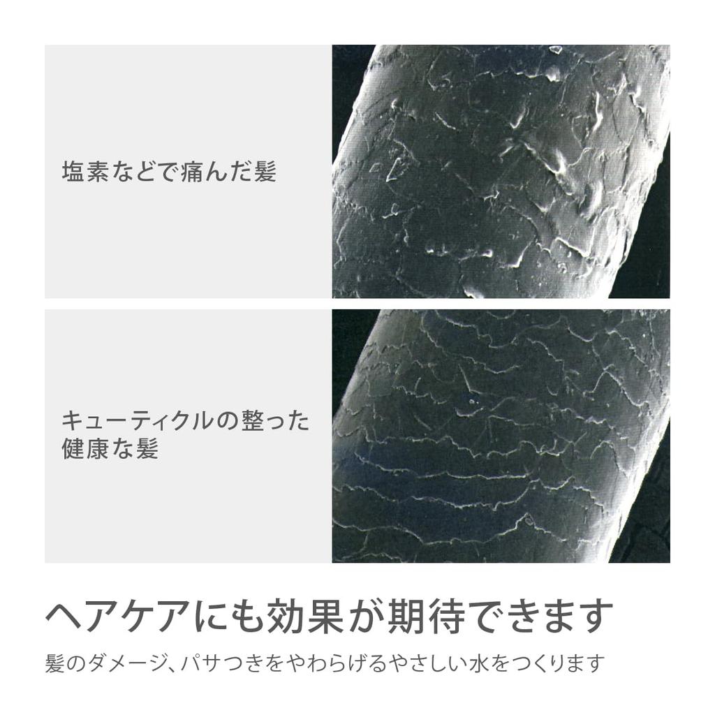 Takagi Shower Metallic Comfortable Shower Pita Hose Set Shower Hose Water Chlorine Removal Head, JSB1122M, Replacement, Purification,