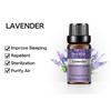 PHATOIL 3PCS Pure Plant Extract Essential Oil For Stress Relief Lavender Bergamot Clary Sage 10ml Water Soluble Oil Air Freshening Body Relieve