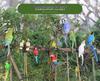 Parrot Tree Decoration: Cross-border Bird Model Resin Ornament for Courtyard