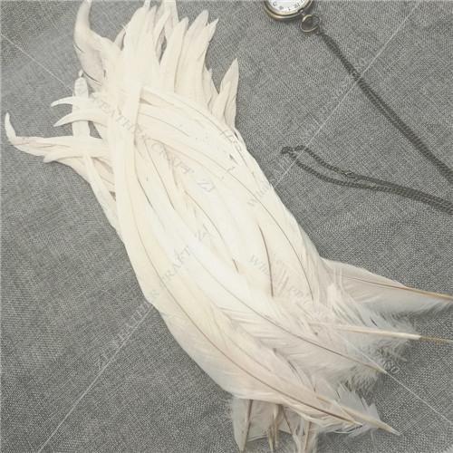 100 Stück 25-45 cm Naturgefärbte Hahnenfedern Karneval Hühnerfeder Federbusch Für DIY Handwerk/Kleid/ Partydekoration