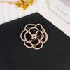 Elegant Women's Brooch: Versatile Bow & Insect Flower Design with Anti-Exposure Feature
