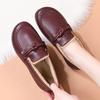 Winter Cloth Shoes Women's Shoes Plus Velvet Ladieswear Soft Sole Old Lady Elderly Grandma Warm Shoes