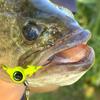 Colored Spinner Big Eye Lead Head Hooks: 3.5g, 5g, 7g, 10g for Fishing
