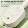 2026 Electric Steaming Hair Straightener Brush Electric Spray Air Cushion Massage Hair Brush Rechargeable Detangling Steam Brush