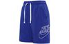 Nike Casual Shorts Men's Blue Moderate DB3811-455