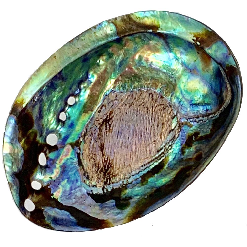 New Zealand Abalone Shell Smudging Dish, Accessory Case, and Crystal Container. Essential for White Sage Purification.