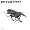 Null Insect Hunter Beetle Set 1box 10pcs