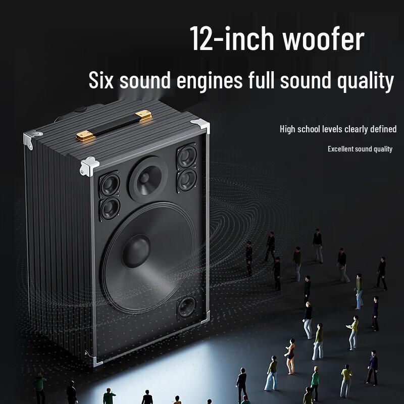 Newmine N519 12-inch Portable Bluetooth KTV Speaker with Dual Mics (CN Version)
