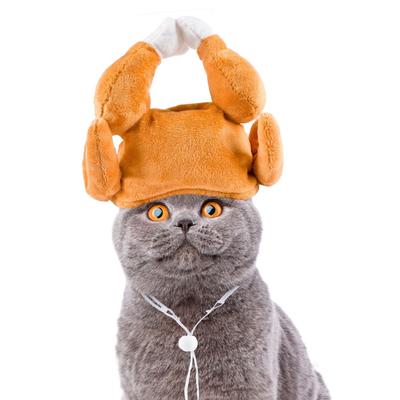 Haustierhut, Hunde Katzen Kopfbedeckung, Katzen Kopfbedeckung, Haustierbedarf, Hähnchenschenkel Hut