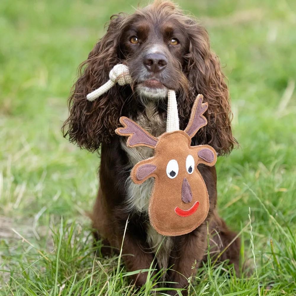 Benji & Flo Reindeer Christmas Dog Toy