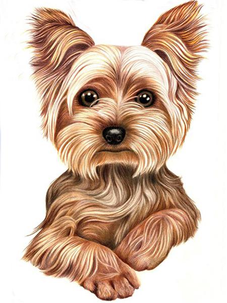 Diamentowe Malowanie Pies Zwierzę Diament Haft Yorkshire Terrier Mozaika Dekoracja Malowanie Diamentami