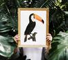 Toucan Bird Vintage Poster