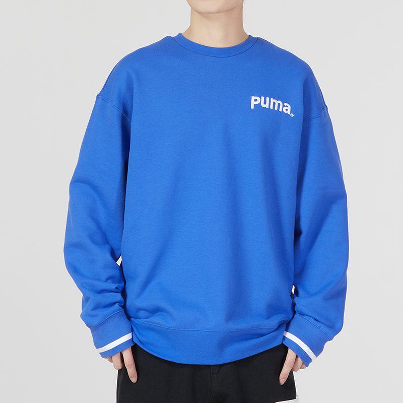 Puma Sweatshirts Men's Blue Crew Neck Moderate Regular 620614-92