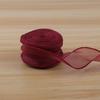 10 Yards Soft Fishtail Organza Ribbon Eco-Friendly Sheer Craft Ribbon for Gift Box Wrapping Bridal Shower DIY Handmade Ornaments