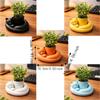 3D Printed Cat Sleeping Flowerpot Plastic Animal Shaped Planter Cat-Shaped Planter Pot  Desktop