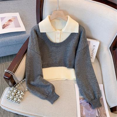 Japanese Lazy Two-piece Sweater Women's New Autumn Age-reducing Foreign Polo Neck Cropped Knit Top