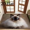 1 szt. Płaska Mata Wejściowa z Kotem Rasy Ragdoll, Delikatna, Lecząca, Mata Podłogowa do Wejścia z Długowłosym Kotem, Kreatywny Elegancki Dywanik Łazienkowy z Portretem Kota Ragdoll Ab