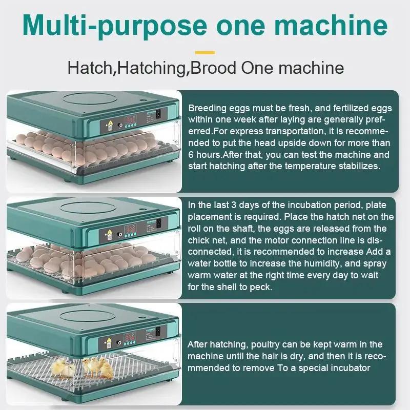 Fully Automatic Incubator With Multiple Functions, Single Power Supply, Intelligent Fully Automatic Egg Hatcher for Home Use