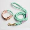 Eco Friendly Round Cotton Dogs Lead Colorful Paracord Slip Long Strap Braided Necklace Rope Leash and Collar Set