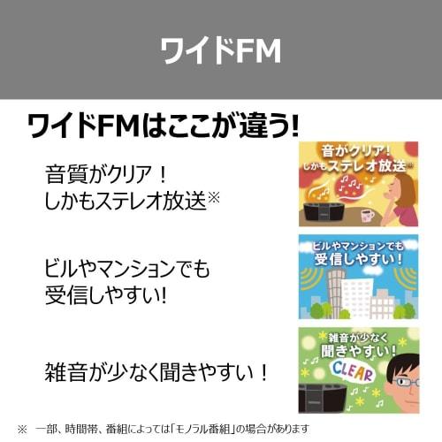 Toshiba CD Radio with Bluetooth Horizontal Compact TY-CW10(K) Black