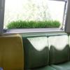 Iarbă de Simulare Personalizată Living Hol de Intrare Mobilier Plintă Decorațiuni Autocolante de Perete