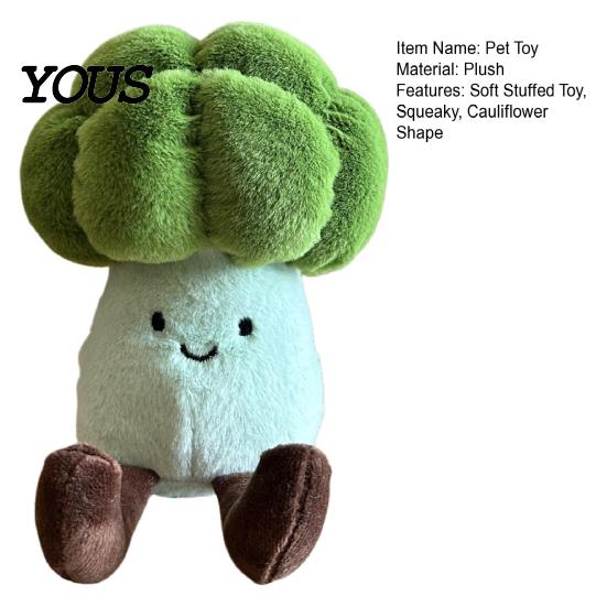 Cauliflower Shaped Dog Toys Plush Toy, Interactive Squeaky Chew Soft Small To Medium Stuffed Toy for And Dogs, Puppy Teething