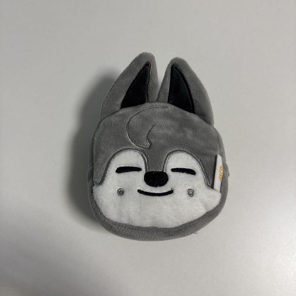 [USED] StrayKids SKZ Bang Chan Wolf Chan Pouch