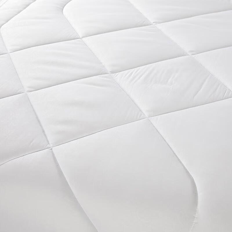 Luolai Antibacterial All-Season Fiber Duo Quilt