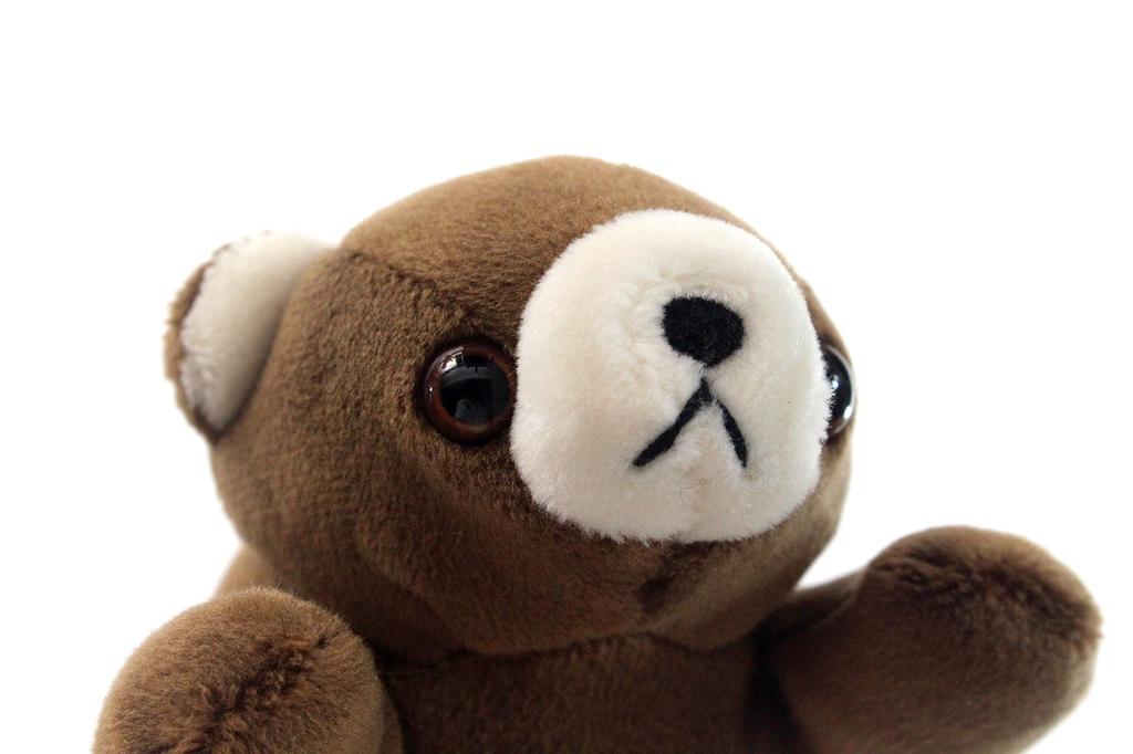 Take Off Pokepuni Brown Bear