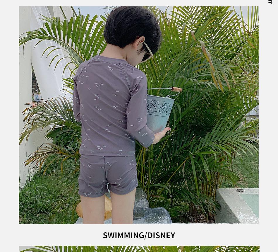 Korean Style Gray Seagull Quick-Dry Beach Swimsuit for Boys