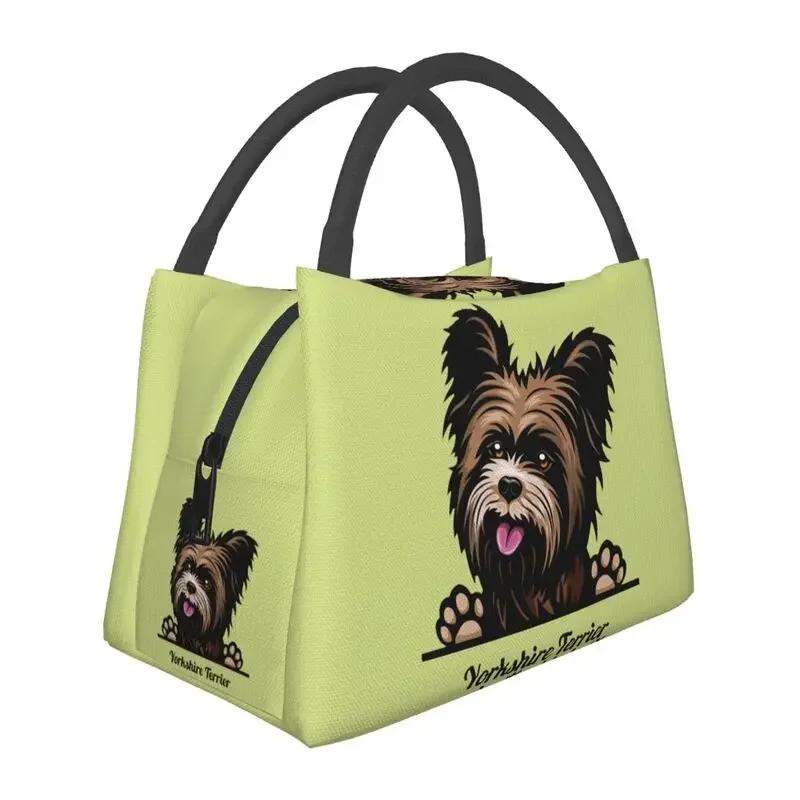 Yorkshire Terrier Insulated Lunch Bags for Outdoor Picnic Cute Yorkie Dog Resuable Thermal Cooler Bento Box Women