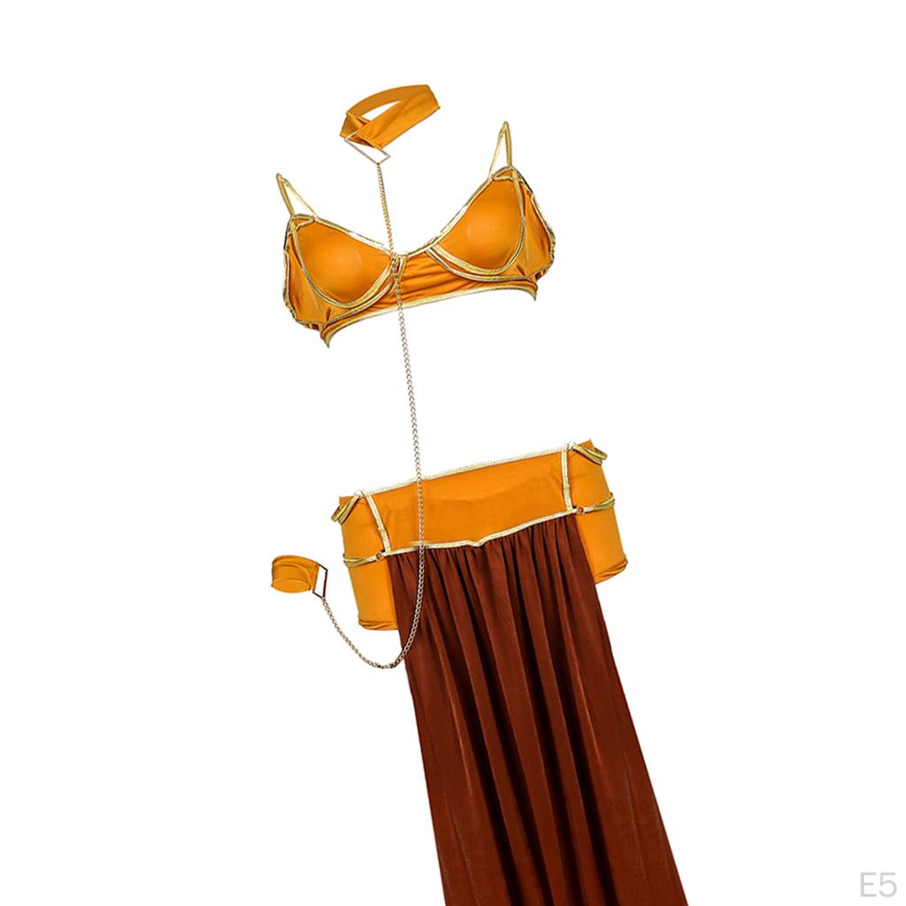 Professional Belly Dance Costume Women Performance Bra Skirt Set