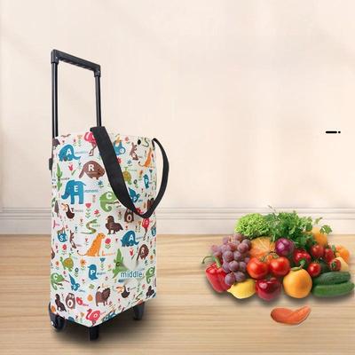 Sac Chariot de Voyage et de Shopping Pliant Compact avec Roulettes
