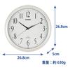 Radio Controlled Analog Wall Clock IQ-1060J-7JF White