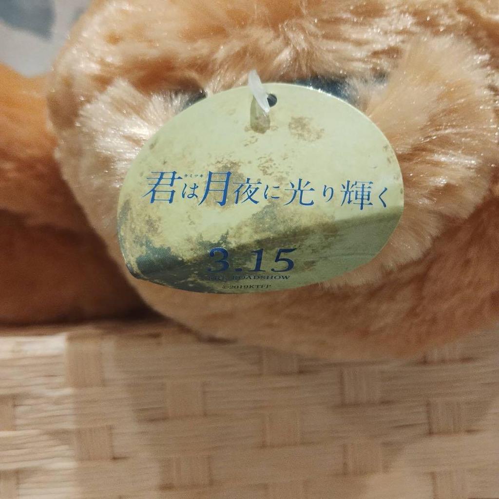 [USED] You Shine In the Moonlight Sweetheart Bear Standard Plush Denim Teddy Bear