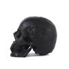 Halloween Decorations Halloween Skeleton Model Halloween Skeleton Head Human Skull Model Skeleton Collectible Figurines Human Skull Head1pcsblack