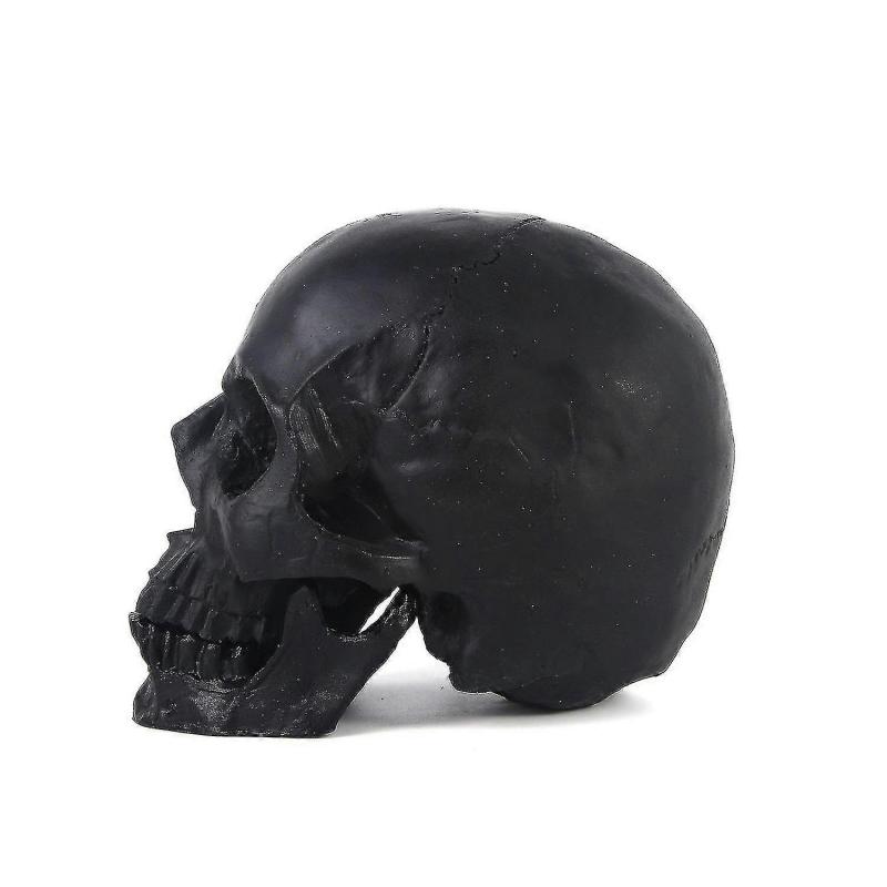 Halloween Decorations Halloween Skeleton Model Halloween Skeleton Head Human Skull Model Skeleton Collectible Figurines Human Skull Head1pcsblack