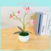 Künstlicher Orchideen-Bonsai mit Phalaenopsis Aphrodite für Heimdekoration und als Geschenk