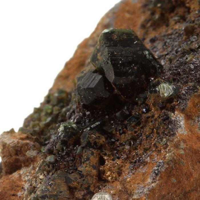 Pierres et Minéraux. Vesuvianite + Clinochlore. 52.03 ct. Rocher de Farinole, Olmeta-di-Capocorso, Haute-Corse, France.