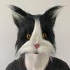 Plyšová kočičí maska Latex s kožichem Zvířecí Cosplay Kostýmy Rekvizity Hrůza Halloween Párty Maškaráda Mardi Gras Karnevalové masky