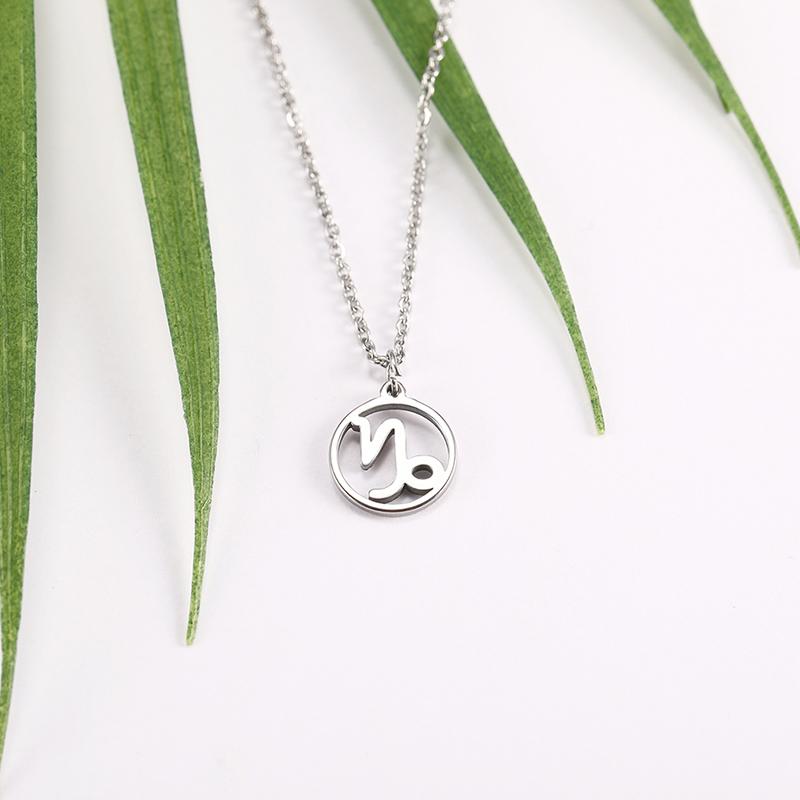 Teamer 12 Zodiac Stainless Steel Necklace Women Men Gemini Aries Libra Taurus Twelve Constellation Birthday Gifts Wholesale