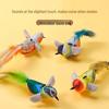 Interactive Cat Teaser Wand with Bird Sounds: Energy-Burning Toy for Boredom Relief