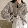 Korean Chic Retro Loose Cable Knit Zipper Cardigan - Women's Autumn/Winter Thick Yarn