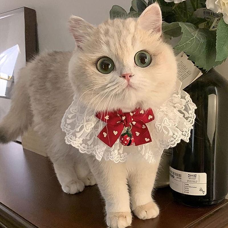 

Милый шарф для кошек, ювелирные изделия, шелковая свадебная лента для кошек, щенков, шарф, кулон, ожерелье с бантом для питомца, атласные аксессуары для котят, галстук-бабочка, подарок ES