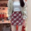 Plaid High-Waist A-Line Wool Skirt for Women – Winter Slimming Style