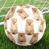 Cute Puppy Indoor Size 5 Soccer Ball Colorful Machine Stitched PVC Competition Ready Durable High-Bounce